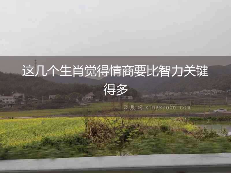 這幾個生肖覺得情商要比智力關鍵得多