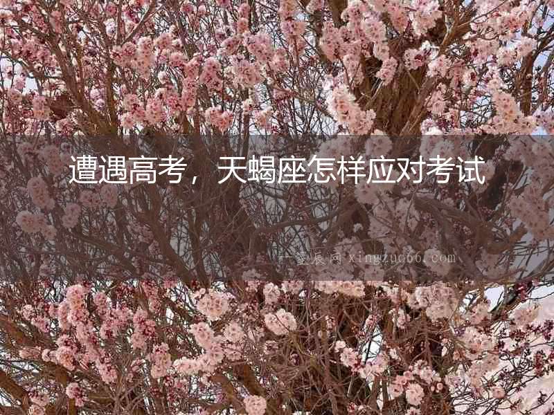 遭遇高考，天蝎座怎樣應對考試