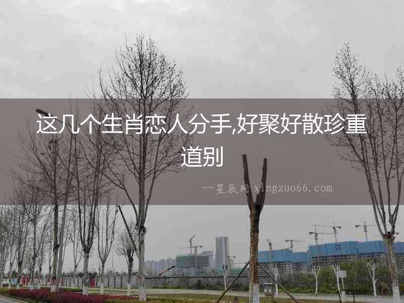 這幾個生肖戀人分手,好聚好散珍重道別