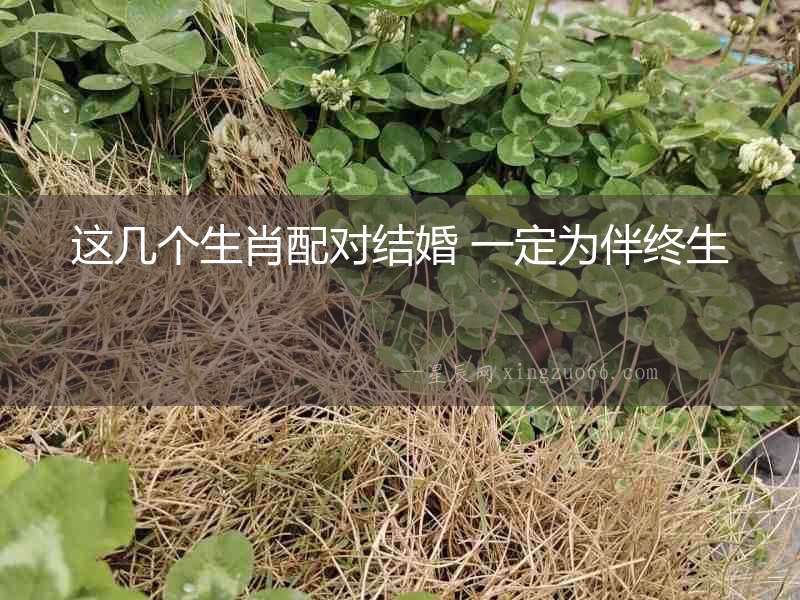 這幾個生肖配對結婚 一定為伴終生