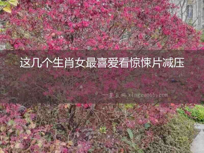這幾個(gè)生肖女最喜愛(ài)看驚悚片減壓