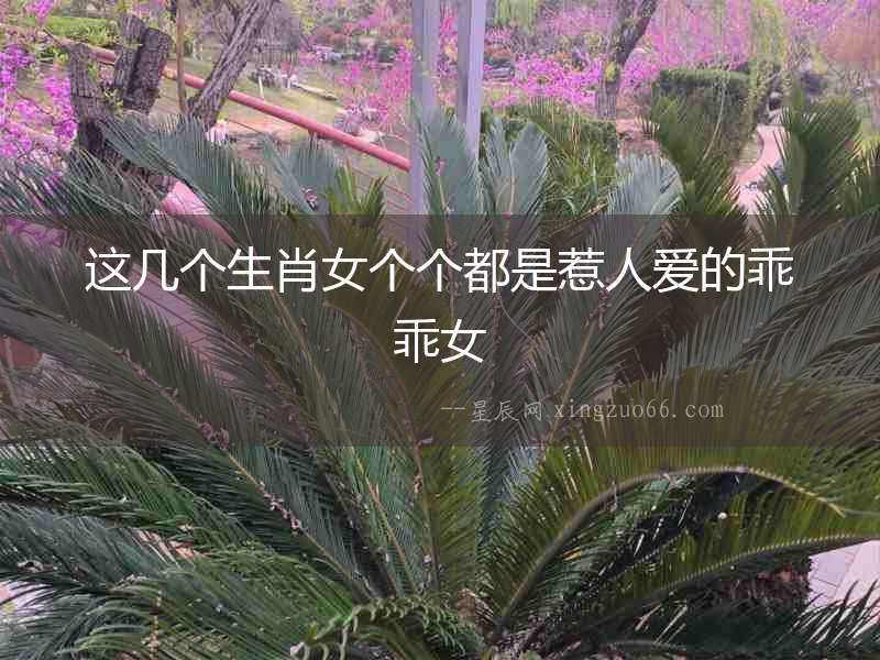 這幾個生肖女個個都是惹人愛的乖乖女