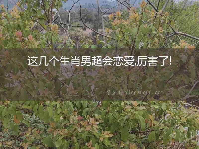 這幾個(gè)生肖男超會(huì)戀愛(ài),厲害了!