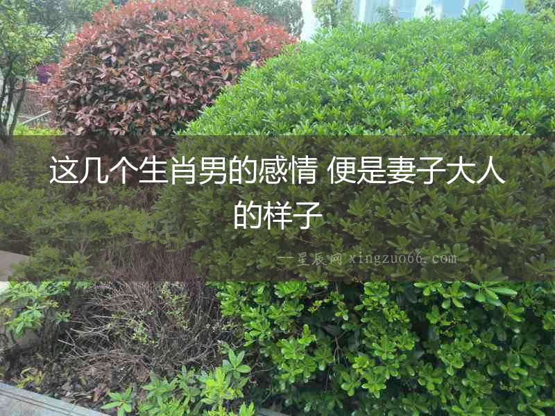 這幾個(gè)生肖男的感情 便是妻子大人的樣子