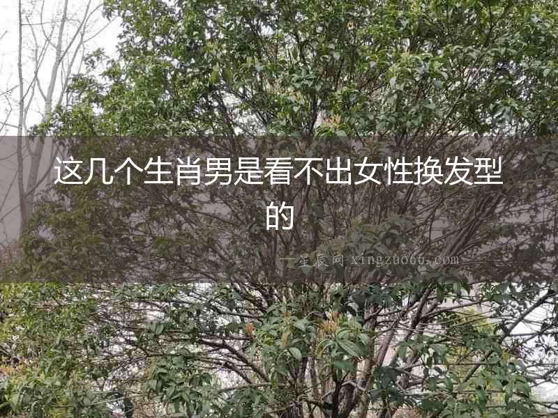 這幾個生肖男是看不出女性換發(fā)型的