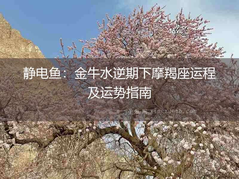 靜電魚：金牛水逆期下摩羯座運程及運勢指南