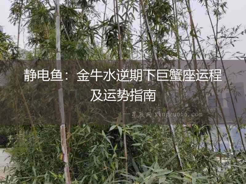 靜電魚：金牛水逆期下巨蟹座運程及運勢指南