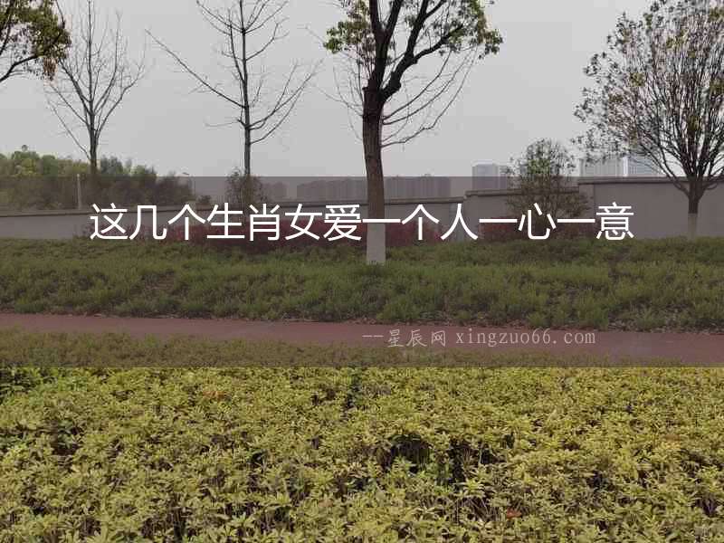 這幾個生肖女愛一個人一心一意