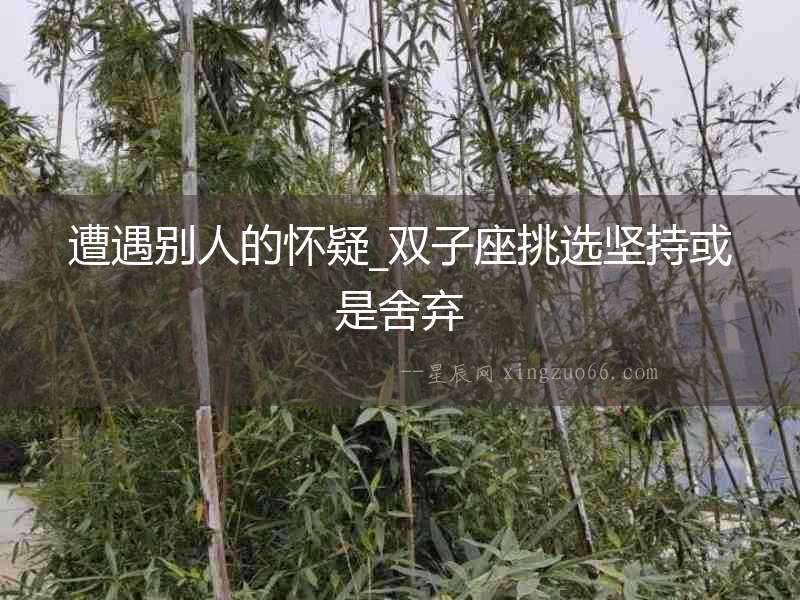 遭遇別人的懷疑_雙子座挑選堅持或是舍棄