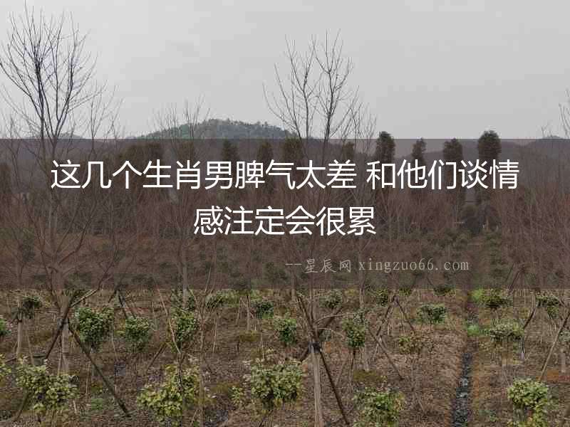 這幾個生肖男脾氣太差 和他們談情感注定會很累