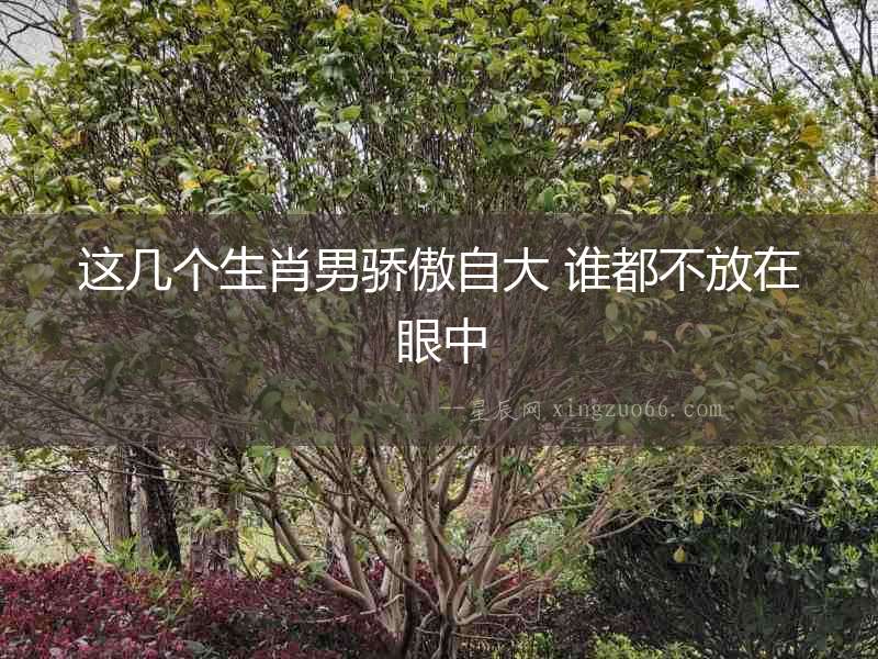 這幾個生肖男驕傲自大 誰都不放在眼中