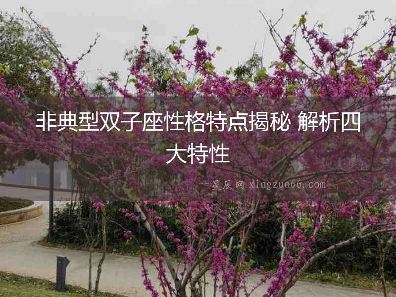 非典型雙子座性格特點揭秘 解析四大特性
