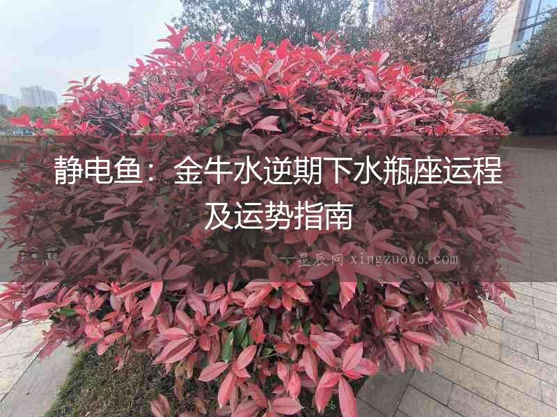 靜電魚：金牛水逆期下水瓶座運程及運勢指南