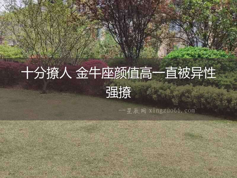 十分撩人 金牛座顏值高一直被異性強撩