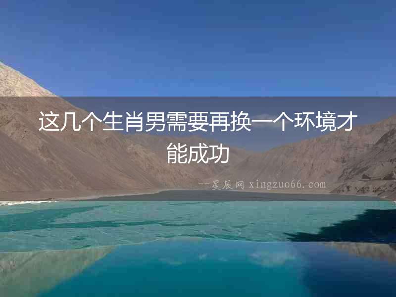 這幾個生肖男需要再換一個環境才能成功