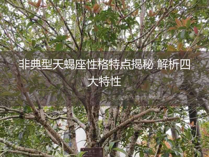 非典型天蝎座性格特點(diǎn)揭秘 解析四大特性