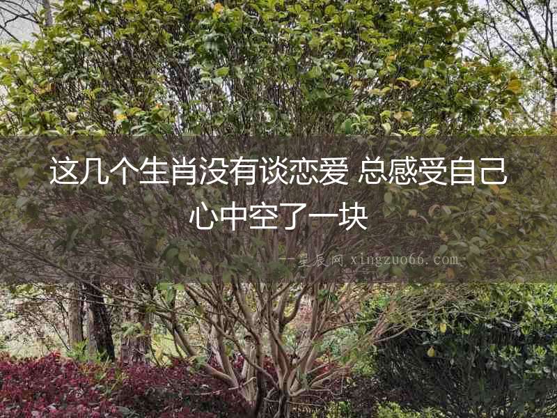 這幾個生肖沒有談戀愛 總感受自己心中空了一塊