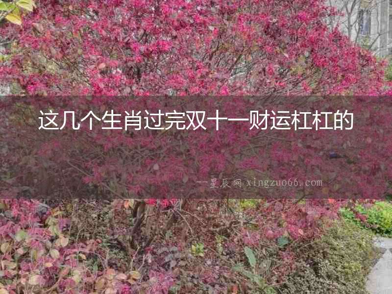 這幾個生肖過完雙十一財(cái)運(yùn)杠杠的