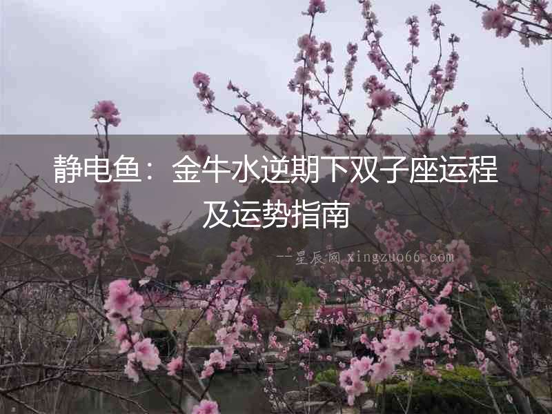 靜電魚：金牛水逆期下雙子座運程及運勢指南