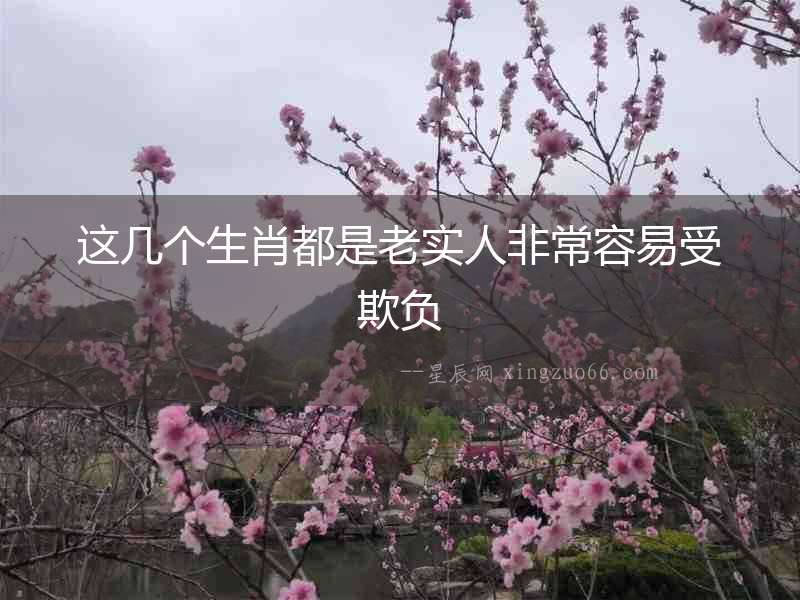 這幾個生肖都是老實人非常容易受欺負