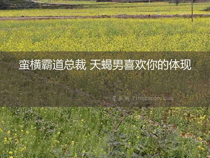蠻橫霸道總裁 天蝎男喜歡你的體現