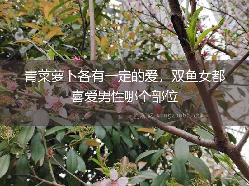 青菜蘿卜各有一定的愛，雙魚女都喜愛男性哪個部位