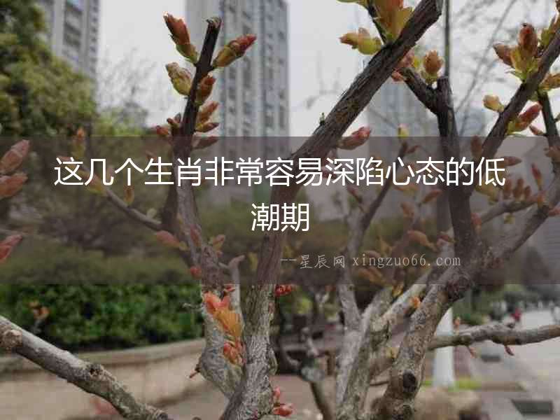 這幾個生肖非常容易深陷心態的低潮期