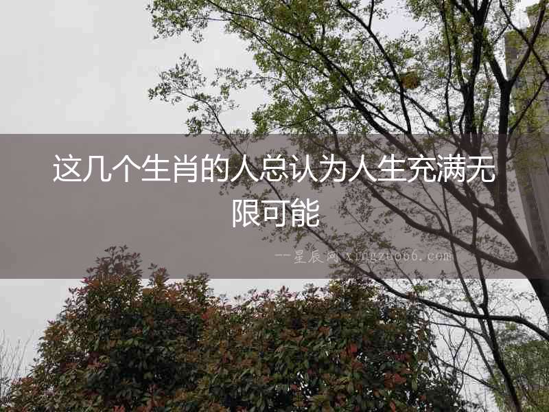 這幾個生肖的人總認為人生充滿無限可能