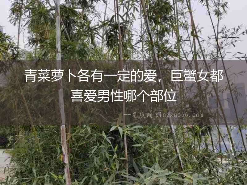 青菜蘿卜各有一定的愛，巨蟹女都喜愛男性哪個(gè)部位