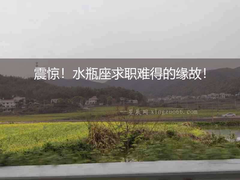震驚！水瓶座求職難得的緣故！