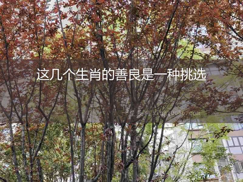 這幾個生肖的善良是一種挑選