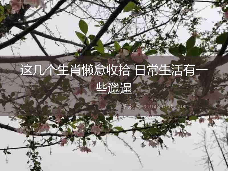 這幾個生肖懶怠收拾 日常生活有一些邋遢