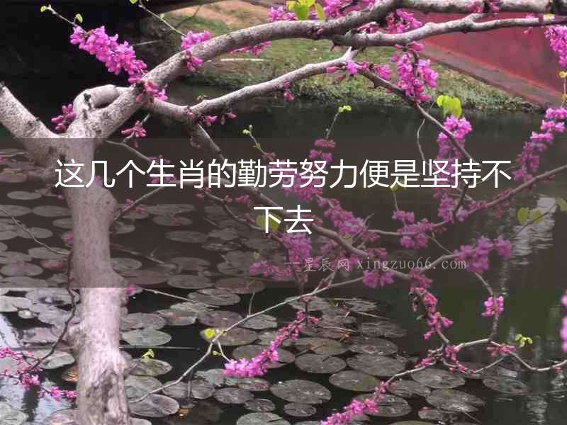 這幾個生肖的勤勞努力便是堅持不下去