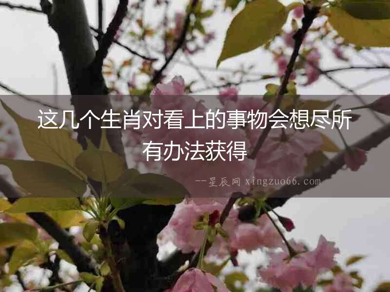 這幾個生肖對看上的事物會想盡所有辦法獲得