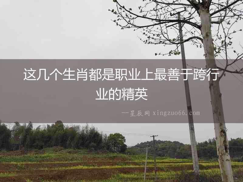 這幾個生肖都是職業上最善于跨行業的精英