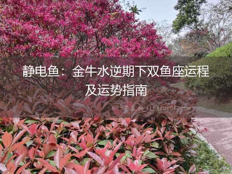 靜電魚：金牛水逆期下雙魚座運程及運勢指南