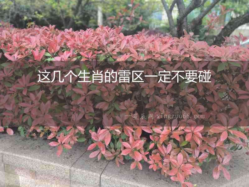 這幾個生肖的雷區一定不要碰