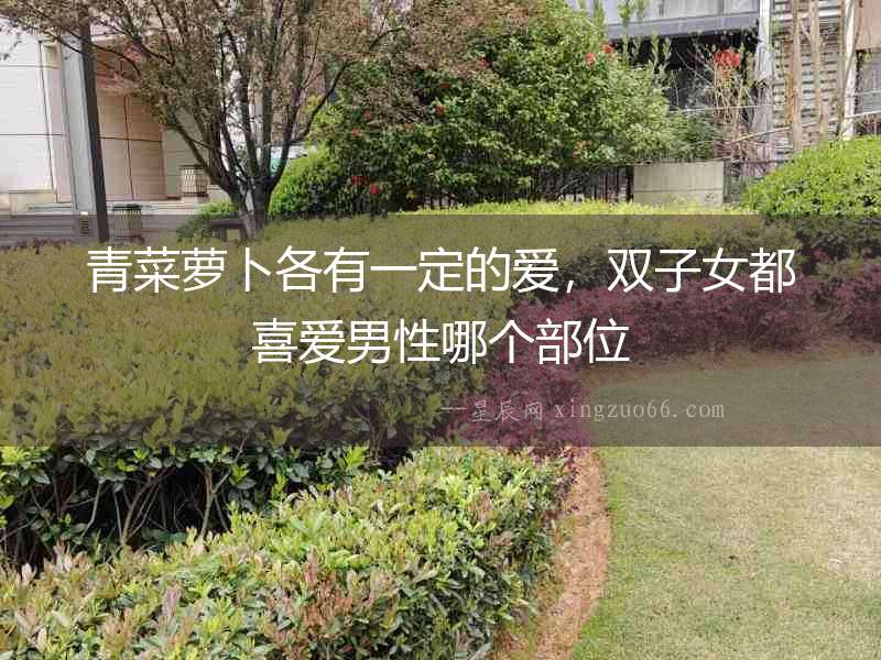 青菜蘿卜各有一定的愛，雙子女都喜愛男性哪個部位