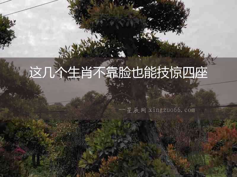 這幾個生肖不靠臉也能技驚四座