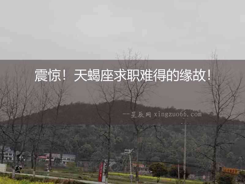 震驚！天蝎座求職難得的緣故！