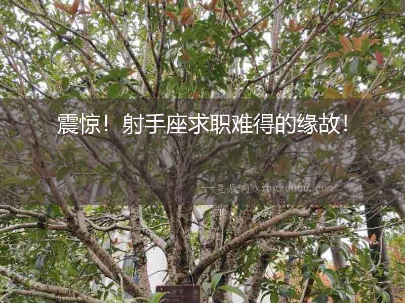 震驚！射手座求職難得的緣故！