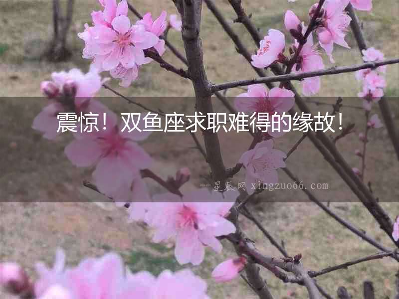 震驚！雙魚座求職難得的緣故！