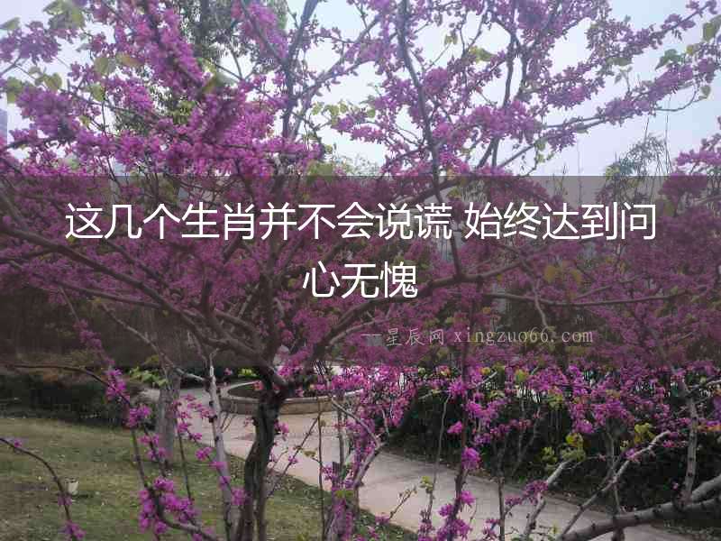 這幾個生肖并不會說謊 始終達到問心無愧