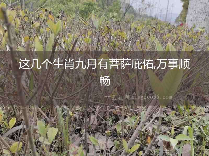 這幾個生肖九月有菩薩庇佑,萬事順暢