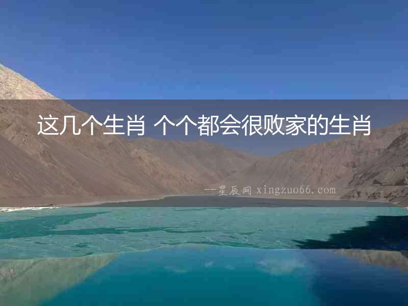 這幾個生肖 個個都會很敗家的生肖