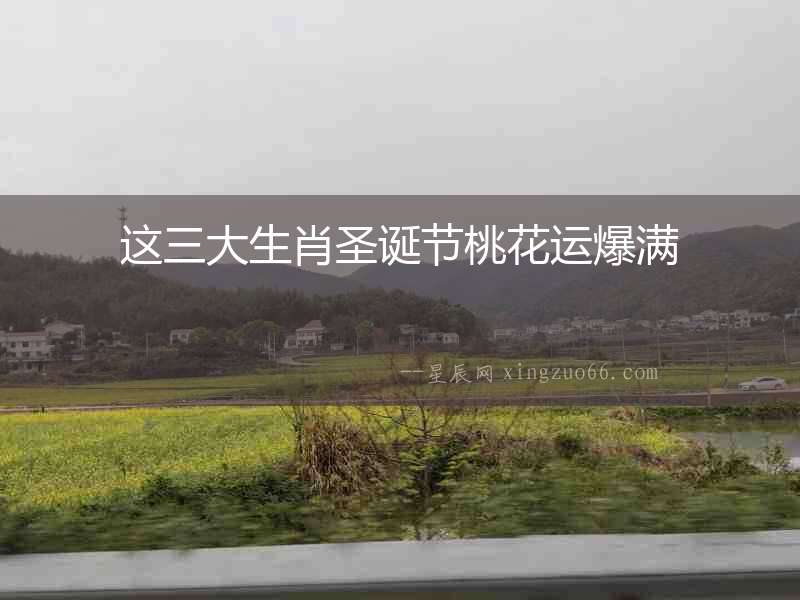 這三大生肖圣誕節(jié)桃花運爆滿