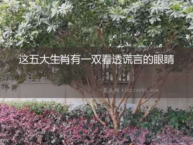 這五大生肖有一雙看透謊言的眼睛