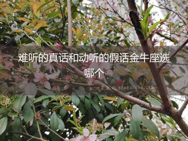 難聽的真話和動聽的假話金牛座選哪個