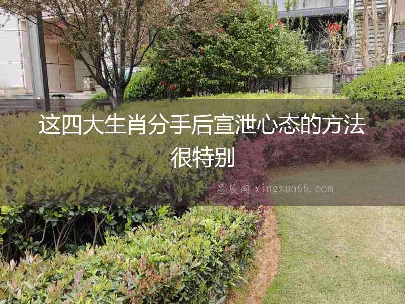 這四大生肖分手后宣泄心態的方法很特別