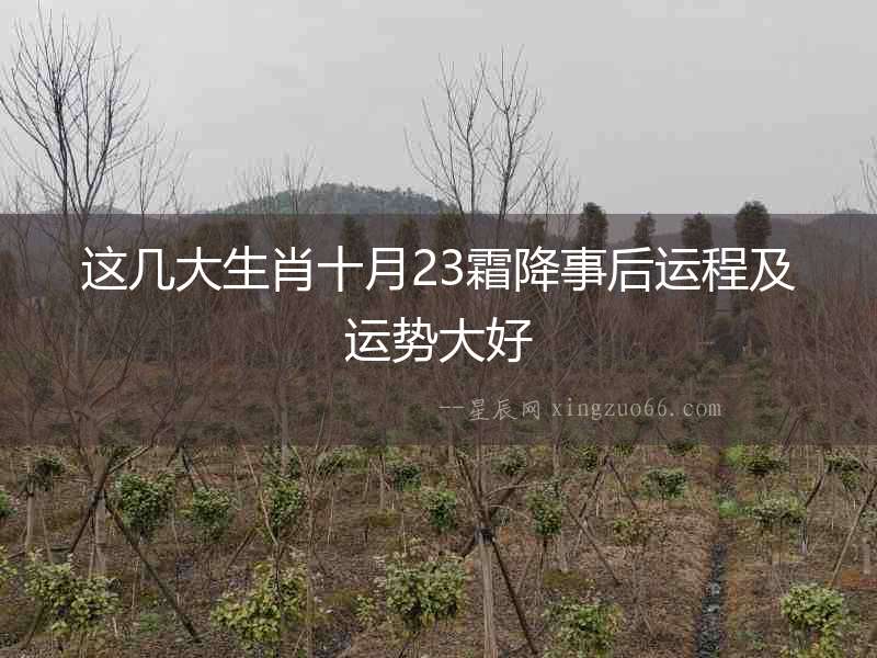 這幾大生肖十月23霜降事后運程及運勢大好